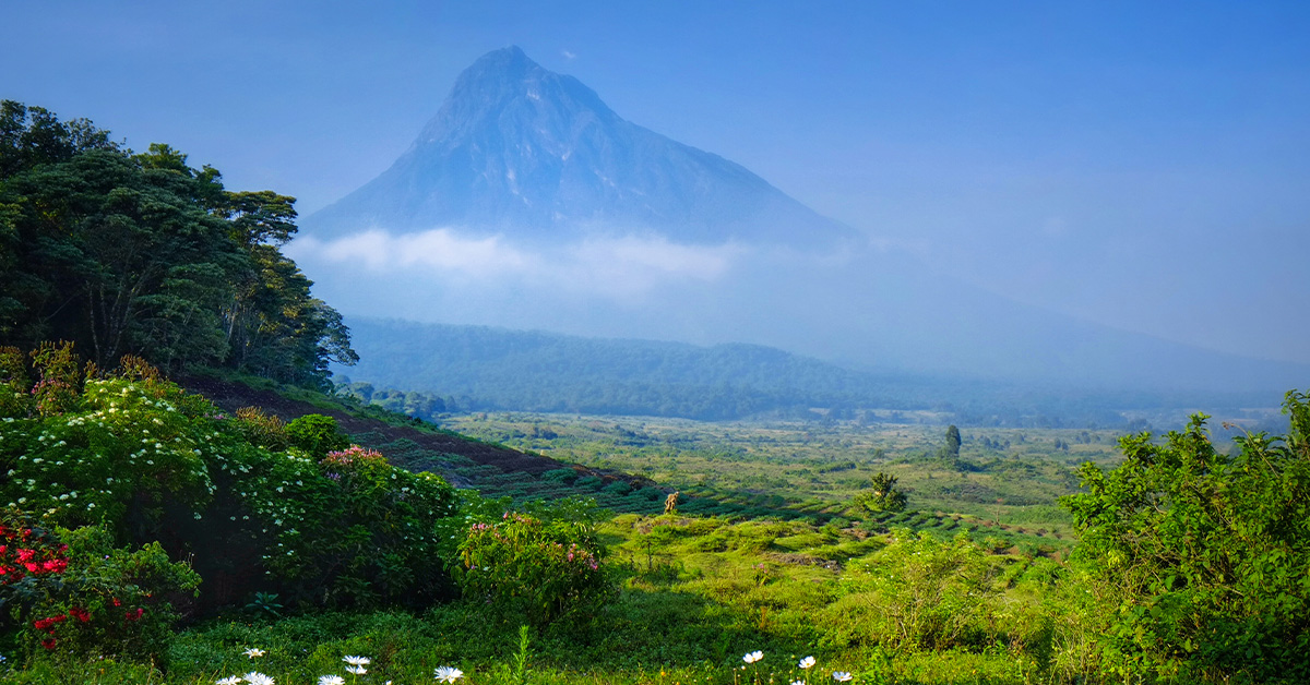 Democratic republic of the congo