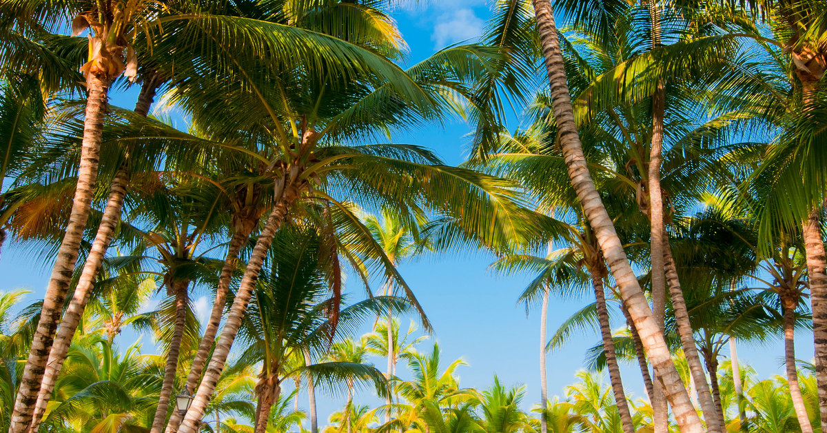 Dominican republic